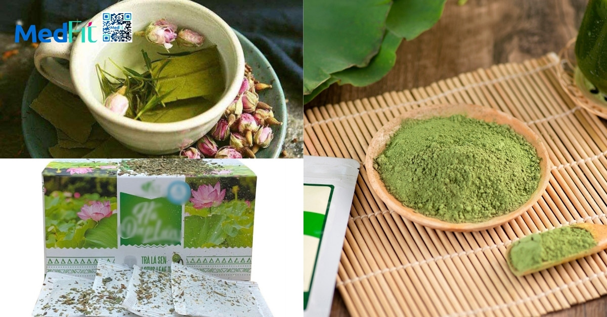 Giảm cân hà diệp có tốt không? Hiểu đúng về tác dụng của lá sen để giữ dáng an toàn 7 Giảm cân hà diệp có tốt không? Hiểu đúng về tác dụng của lá sen để giữ dáng an toàn 6