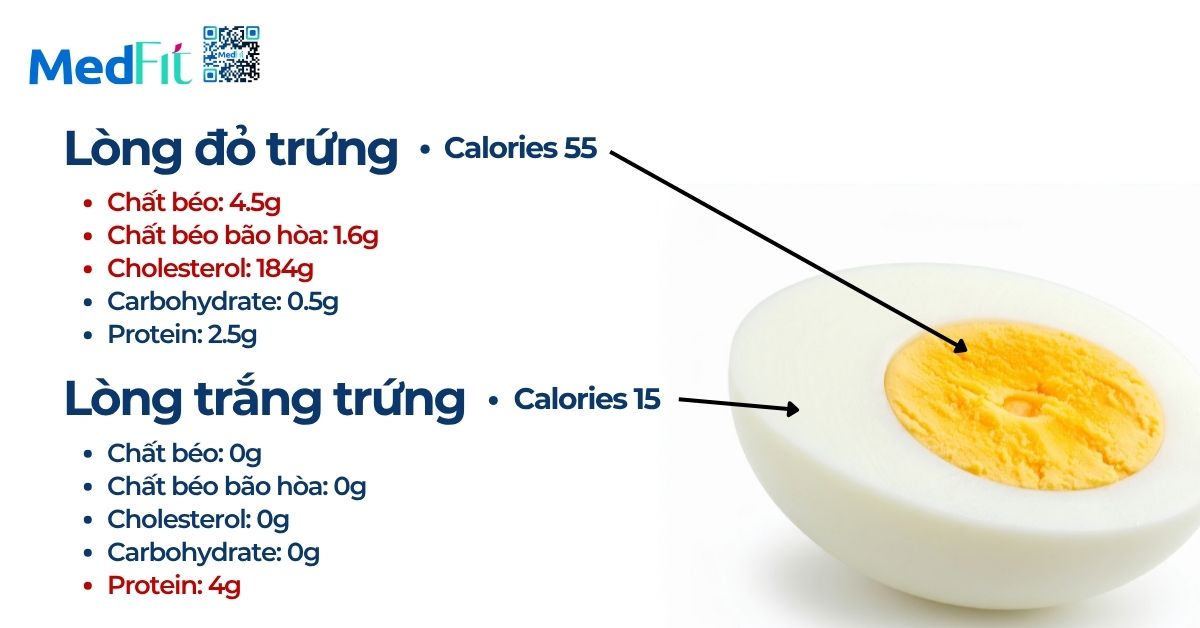 Ăn trứng mỗi ngày có được không? Gợi ý cách ăn tốt nhất cho sức khoẻ 2