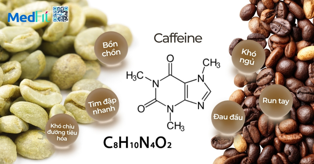 Cà phê xanh giảm cân có tốt không? Có giúp đốt mỡ như lời đồn? 10 Cà phê xanh giảm cân có tốt không? Có giúp đốt mỡ như lời đồn? 9
