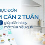 Gợi ý thực đơn giảm cân 2 tuần chi tiết giúp đánh bay mỡ thừa hiệu quả