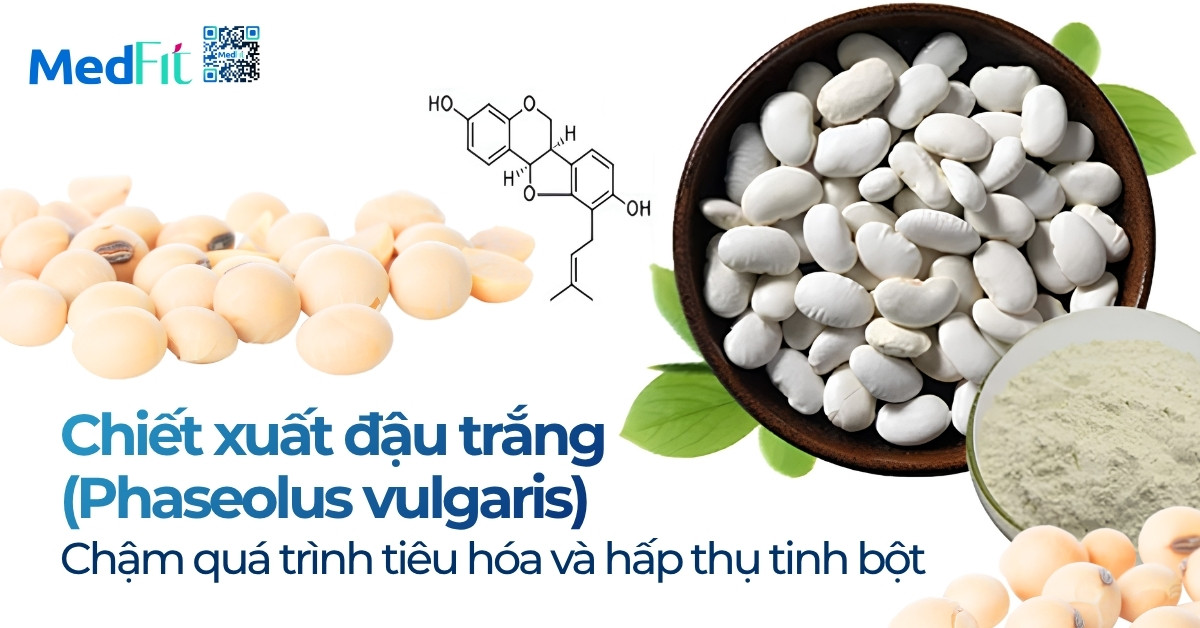 Siro giảm cân Monsfit có tốt không? Đừng để vị ngọt đánh lừa sức khoẻ và làn da của bạn 8