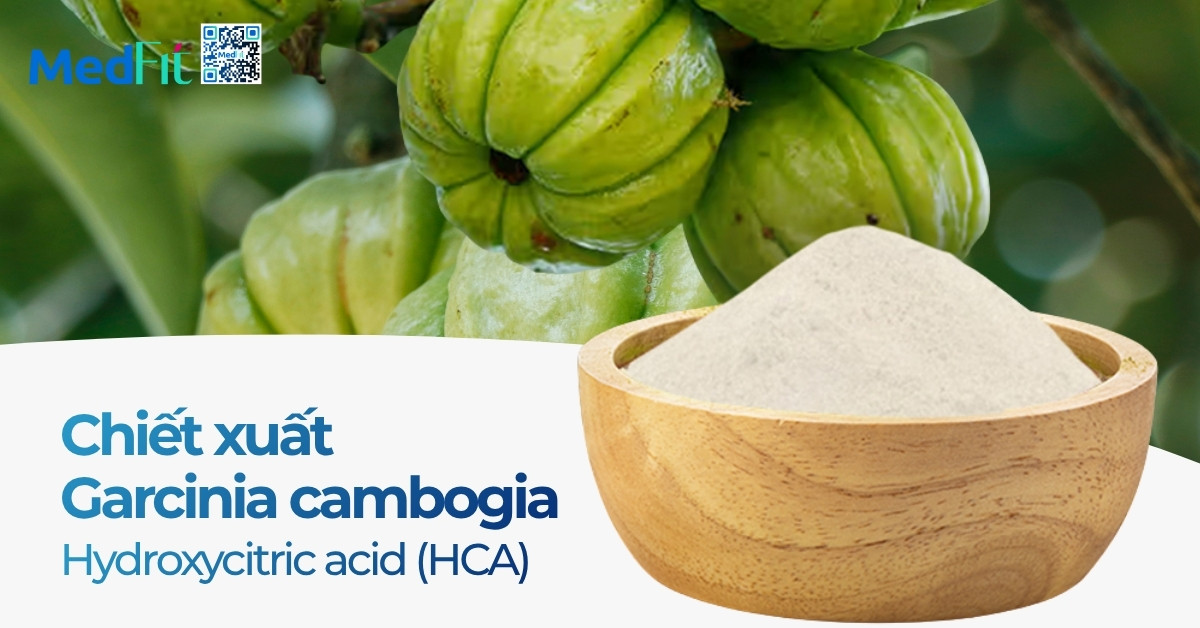 Siro giảm cân Monsfit có tốt không? Đừng để vị ngọt đánh lừa sức khoẻ và làn da của bạn 5