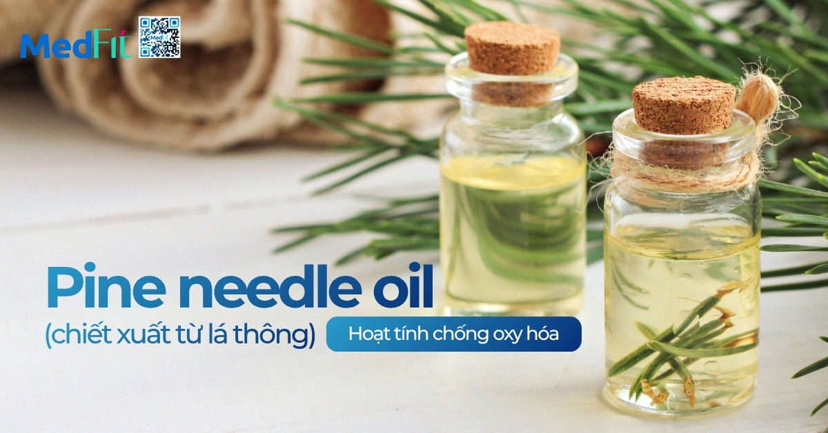 Uống tinh dầu thông đỏ có giảm cân không? Có cần lưu ý gì khi sử dụng 10 Uống tinh dầu thông đỏ có giảm cân không? Có cần lưu ý gì khi sử dụng 9