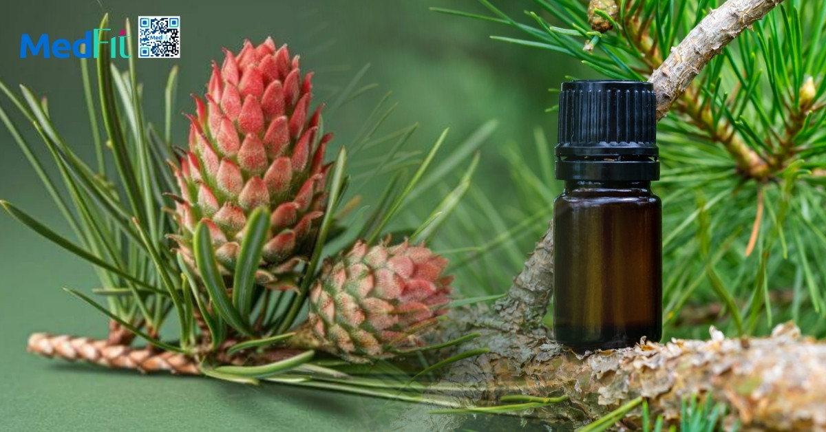 Uống tinh dầu thông đỏ có giảm cân không? Có cần lưu ý gì khi sử dụng 2 Uống tinh dầu thông đỏ có giảm cân không? Có cần lưu ý gì khi sử dụng 1
