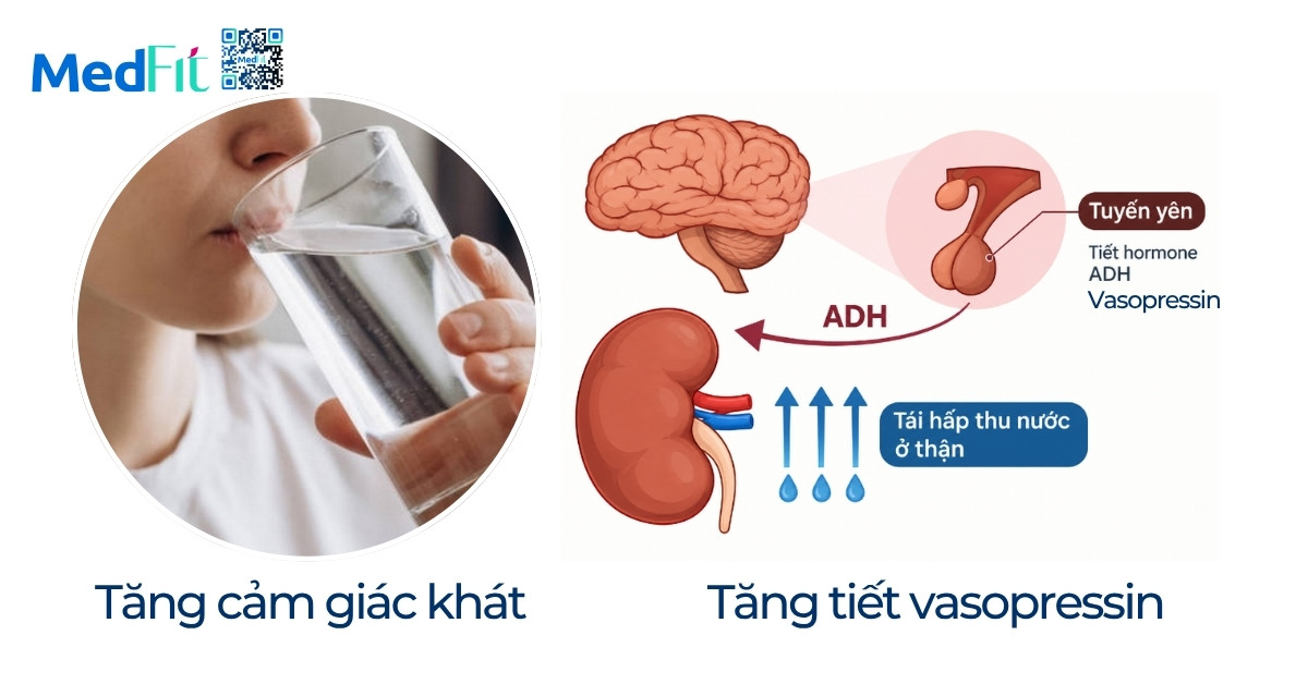 Ăn mặn có tăng cân không? Mối liên hệ giữa muối và cân nặng 6 Ăn mặn có tăng cân không? Mối liên hệ giữa muối và cân nặng 5