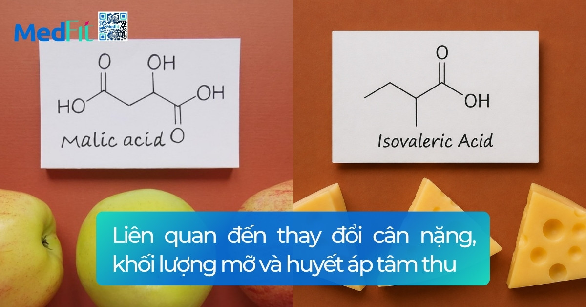 Ăn giới hạn thời gian: Tác động đến hệ vi sinh và hiệu quả giảm cân 9 Ăn giới hạn thời gian: Tác động đến hệ vi sinh và hiệu quả giảm cân 8