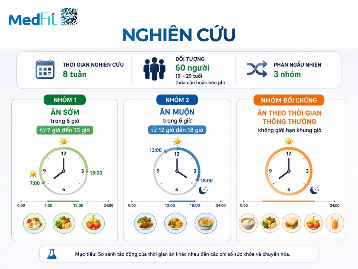 Ăn giới hạn thời gian: Tác động đến hệ vi sinh và hiệu quả giảm cân 5 Ăn giới hạn thời gian: Tác động đến hệ vi sinh và hiệu quả giảm cân 4