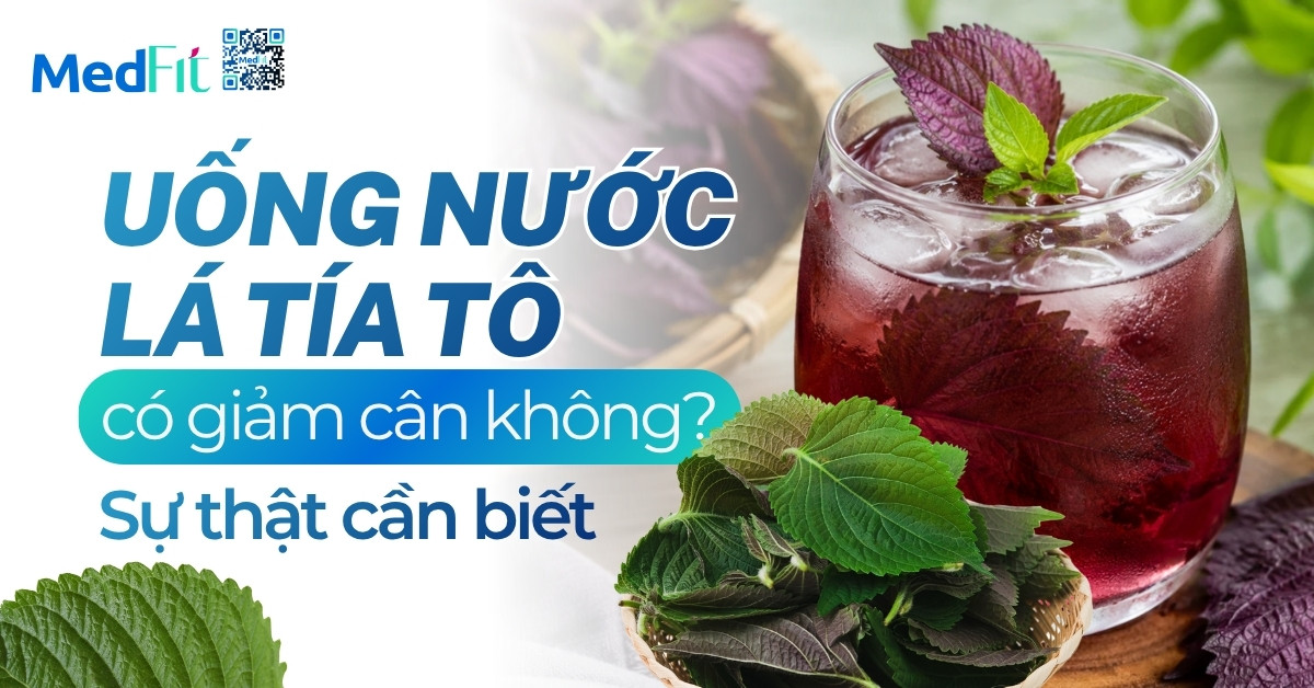 Trang chủ 101