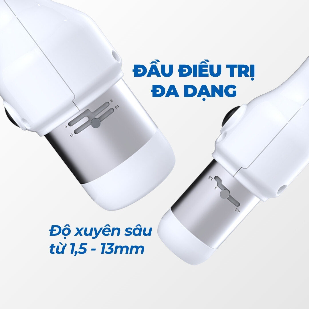 Đầu điều trị đa dạng