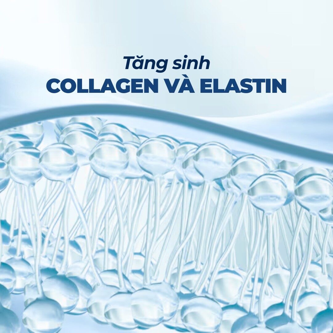 Tăng sinh collagen và elastin